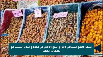 أسعار البلح السيامي وأنواع البلح الأخرى في مطروح اليوم السبت مع توقعات الطلب